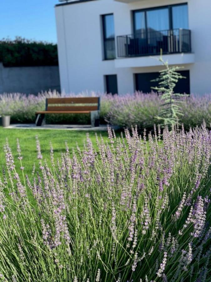 Paskom Apartmanhaz Nyergesujfalu Εξωτερικό φωτογραφία